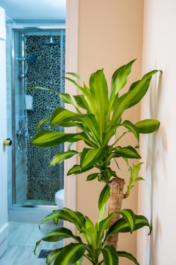Gorgona Blue Apartments การ์ปาตอส ภายนอก รูปภาพ